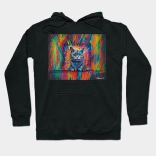 Colorful melting Cat by Farbrausch Art 2023 Hoodie
